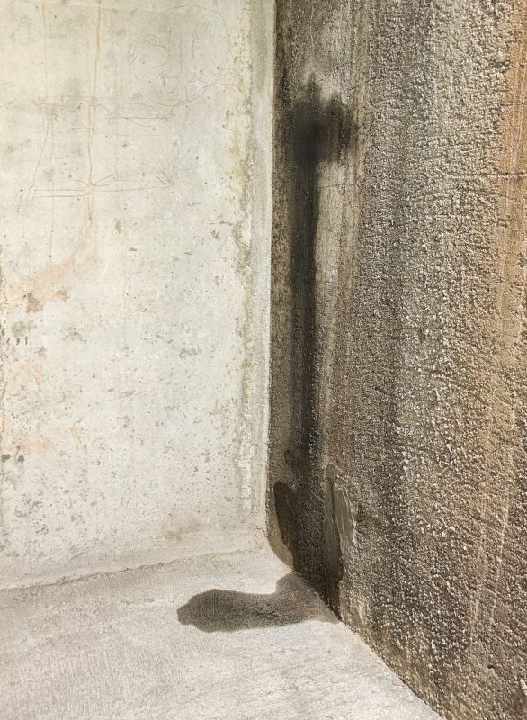 Wet Basement Repair in Greenville, SC